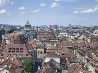 IMG_8181