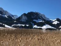 IMG-20200228-WA0017